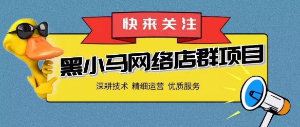 京东无货源店群精细化运营实操系列13:新